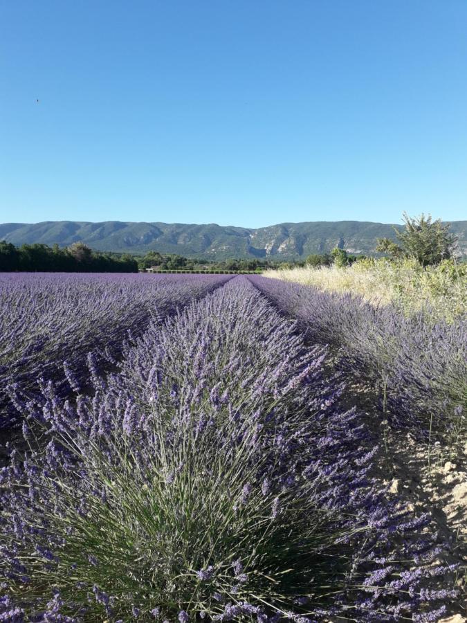 Gite Le Bagnol Un Coin De Paradis Maubec  Bagian luar foto