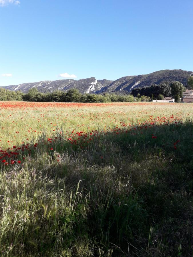 Gite Le Bagnol Un Coin De Paradis Maubec  Bagian luar foto