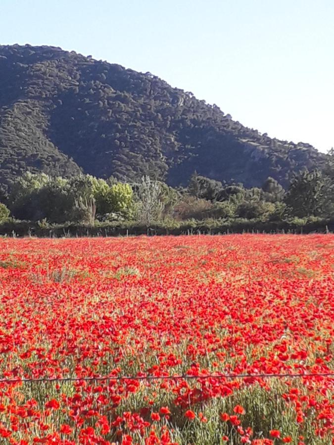 Gite Le Bagnol Un Coin De Paradis Maubec  Bagian luar foto