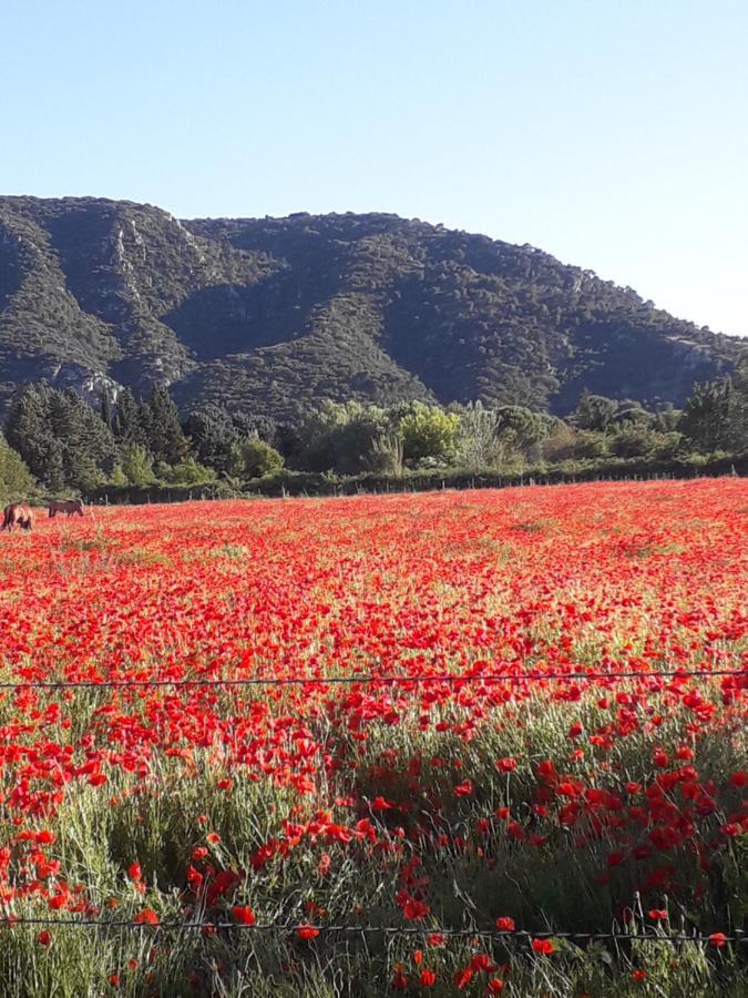 Gite Le Bagnol Un Coin De Paradis Maubec  Bagian luar foto